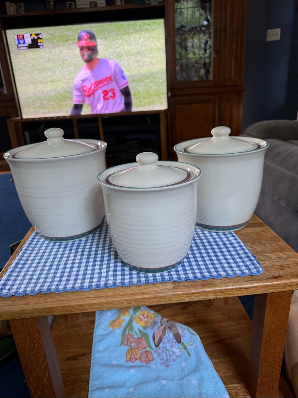 Pfaltzgraff Aura Juniper 1,2,3 Quart large Kitchen Canister set 501, 502, 503